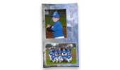 Contemporary Baseball Large Memory Mate