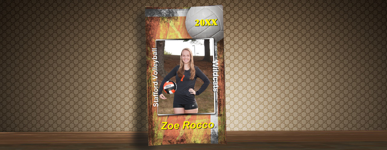 Contemporary Volleyball Poster